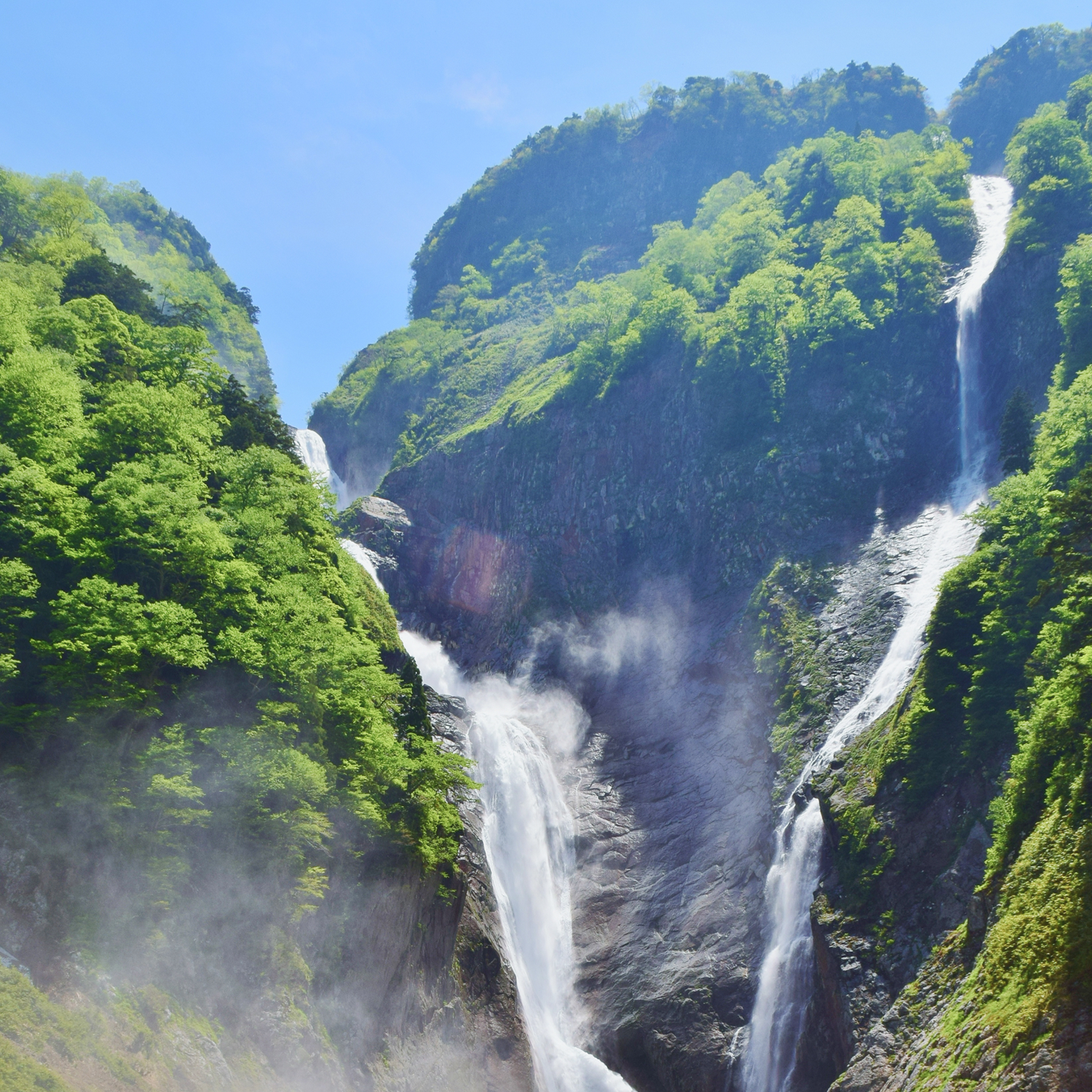 富山で生まれた理由。ミライプラススキンケアに込めたもの。