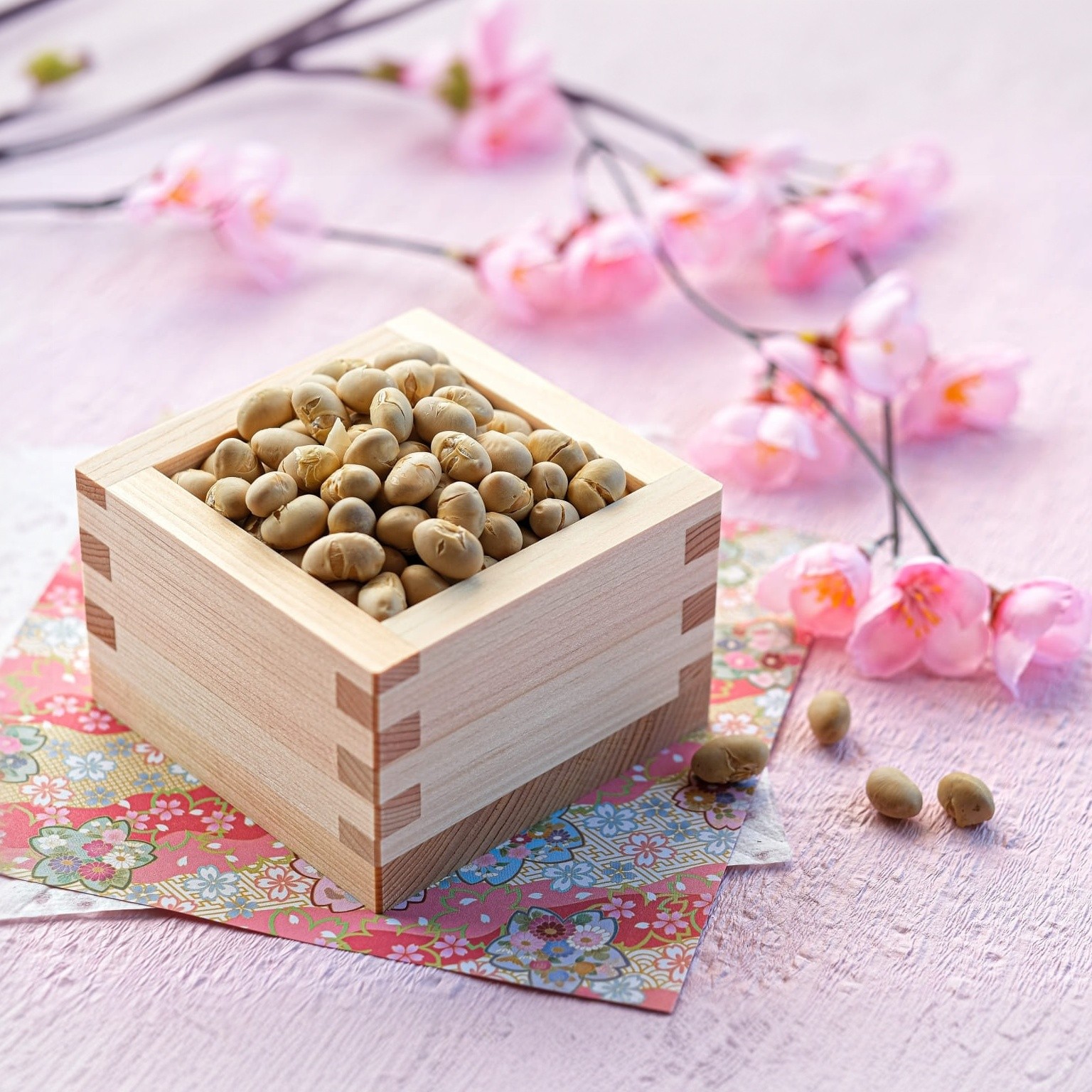 二十四節気で楽しむ介護美容①｜２月 立春