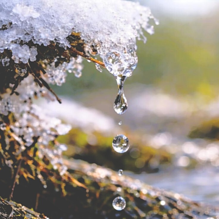 二十四節気で楽しむ介護美容②｜２月 雨水