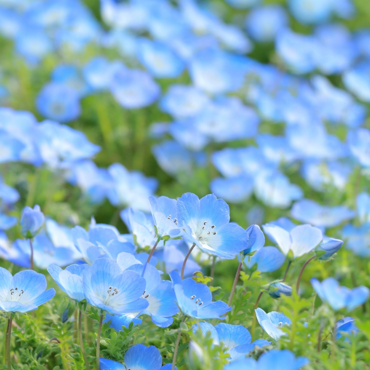 ゴールデンウィーク目前。心をつなぐ介護美容