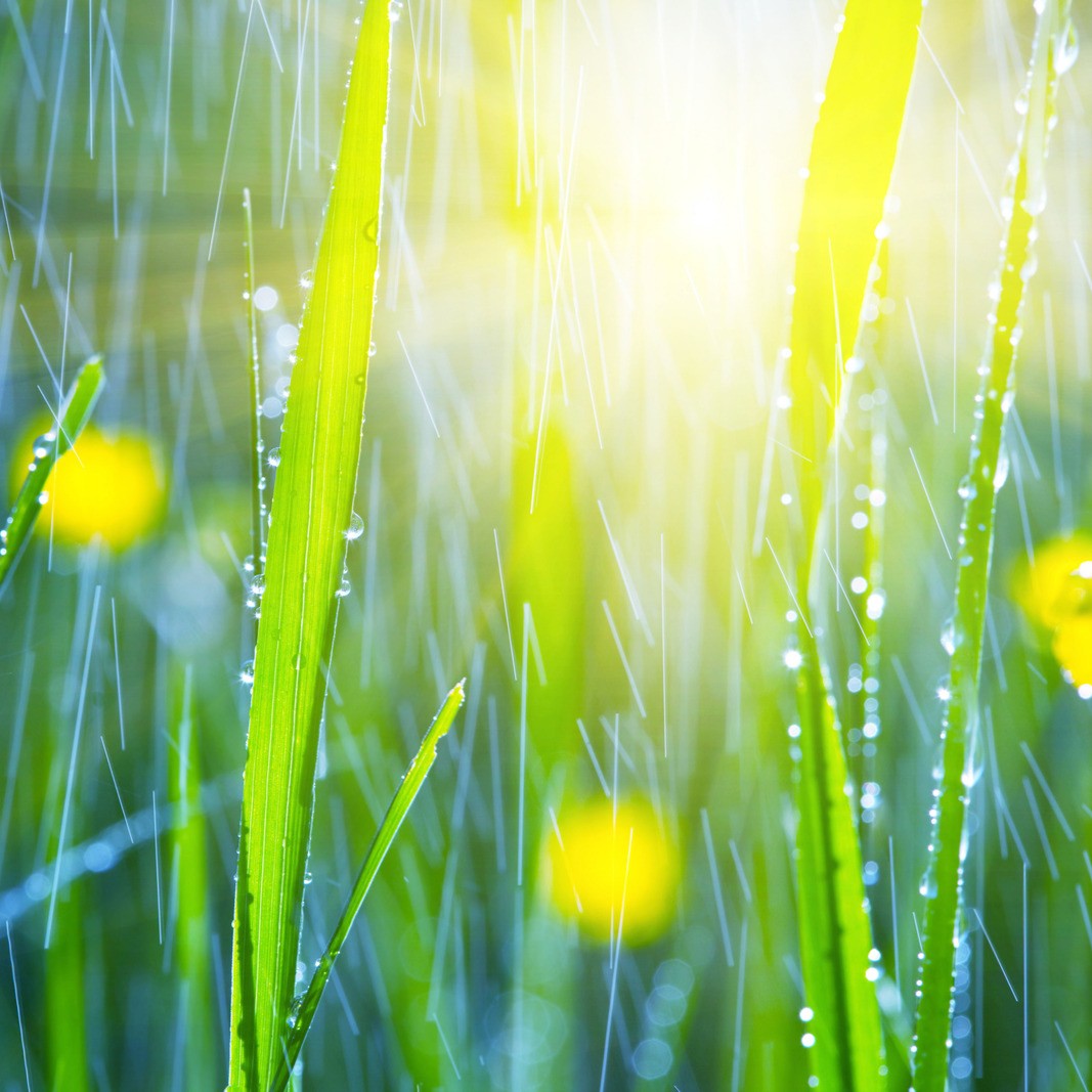 二十四節気で楽しむ介護美容④｜４月 穀雨